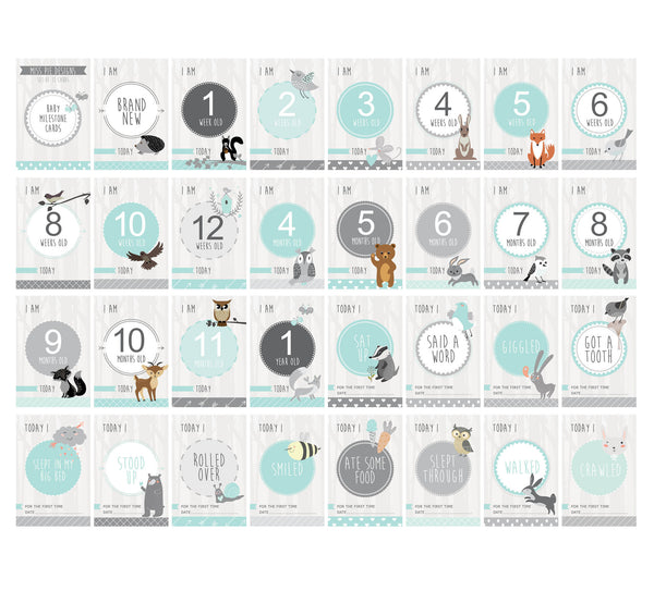 Baby - Aqua Milestone Cards