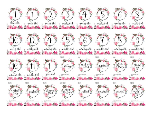 Baby - Floral Milestone Cards