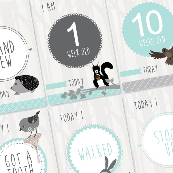 Baby - Aqua Milestone Cards