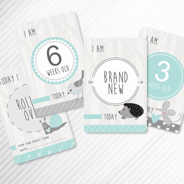 Baby - Aqua Milestone Cards