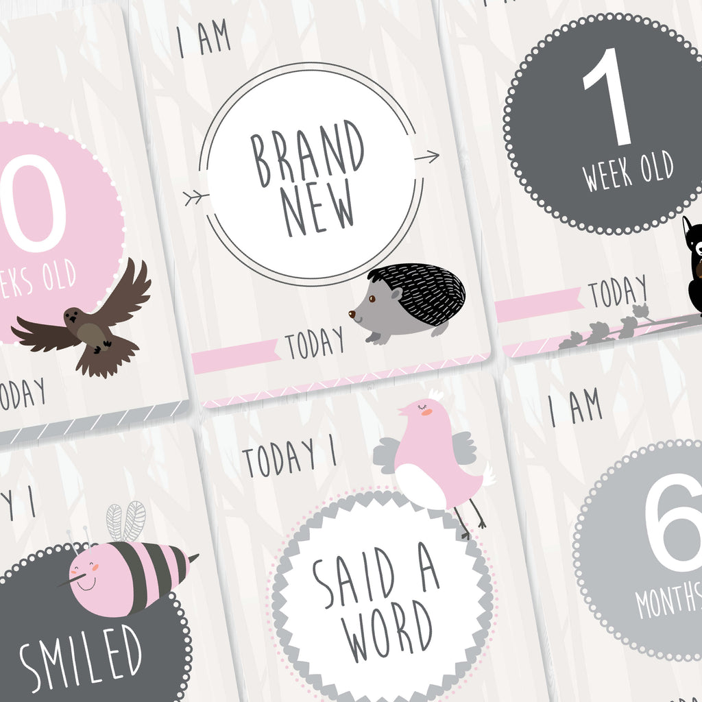 Baby - Pink Milestone Cards